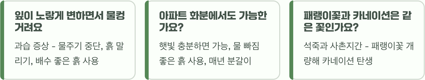 초보 정원사도 성공하는 야생화 패랭이꽃 키우기 A to Z