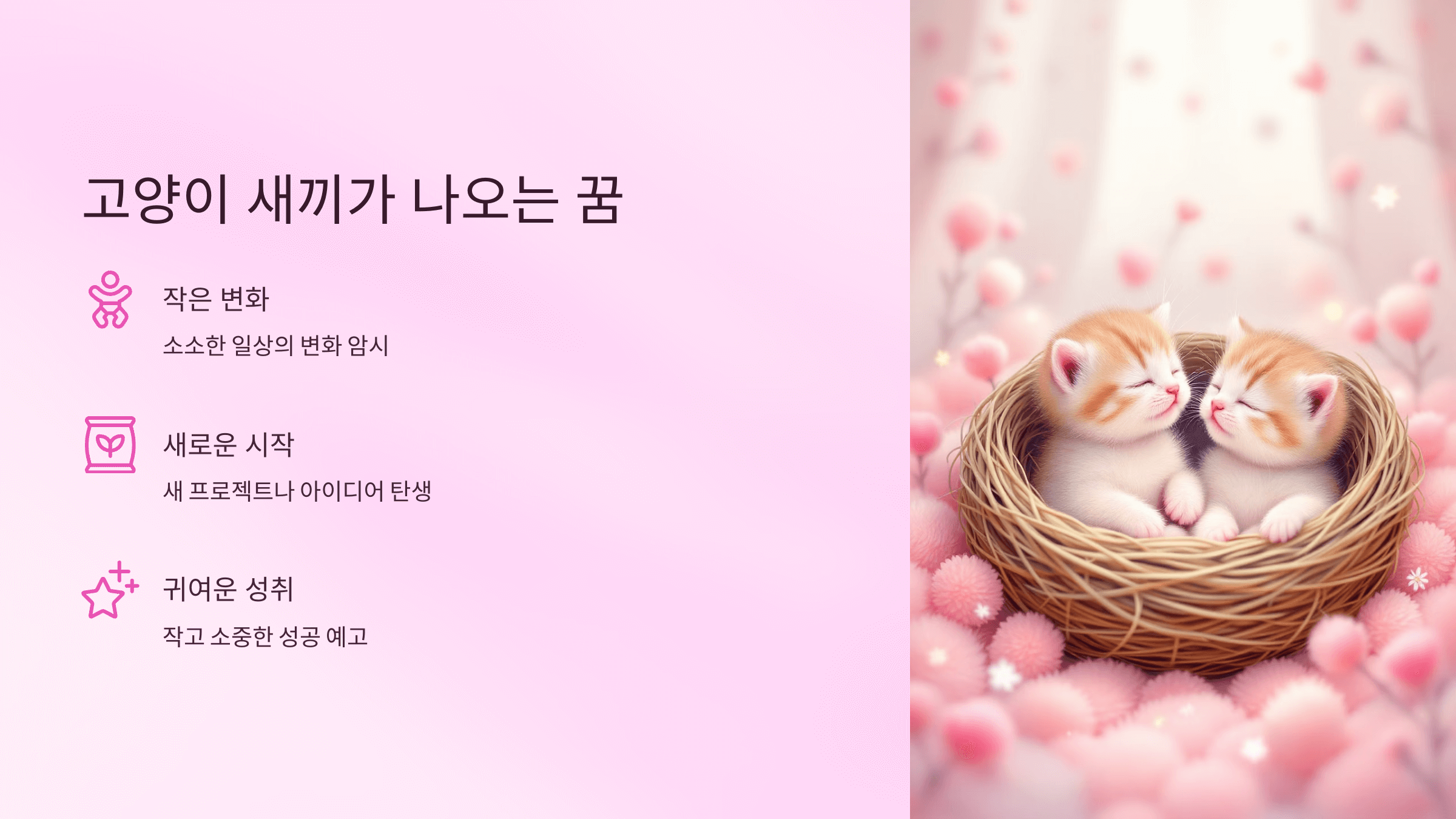 고양이 사진입니다.