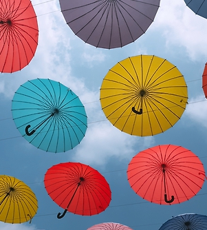 포천 허브아일랜드