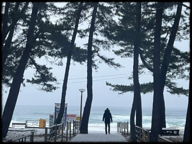 국내 겨울 설경 여행지 Best 10: 눈 덮인 명소와 일출&middot;일몰 스팟