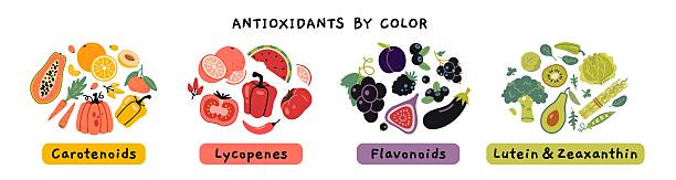 라이코펜(lycopene) 효능
