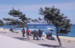 겨울 기차여행 추천지