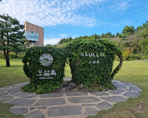 오설록 티 뮤지엄