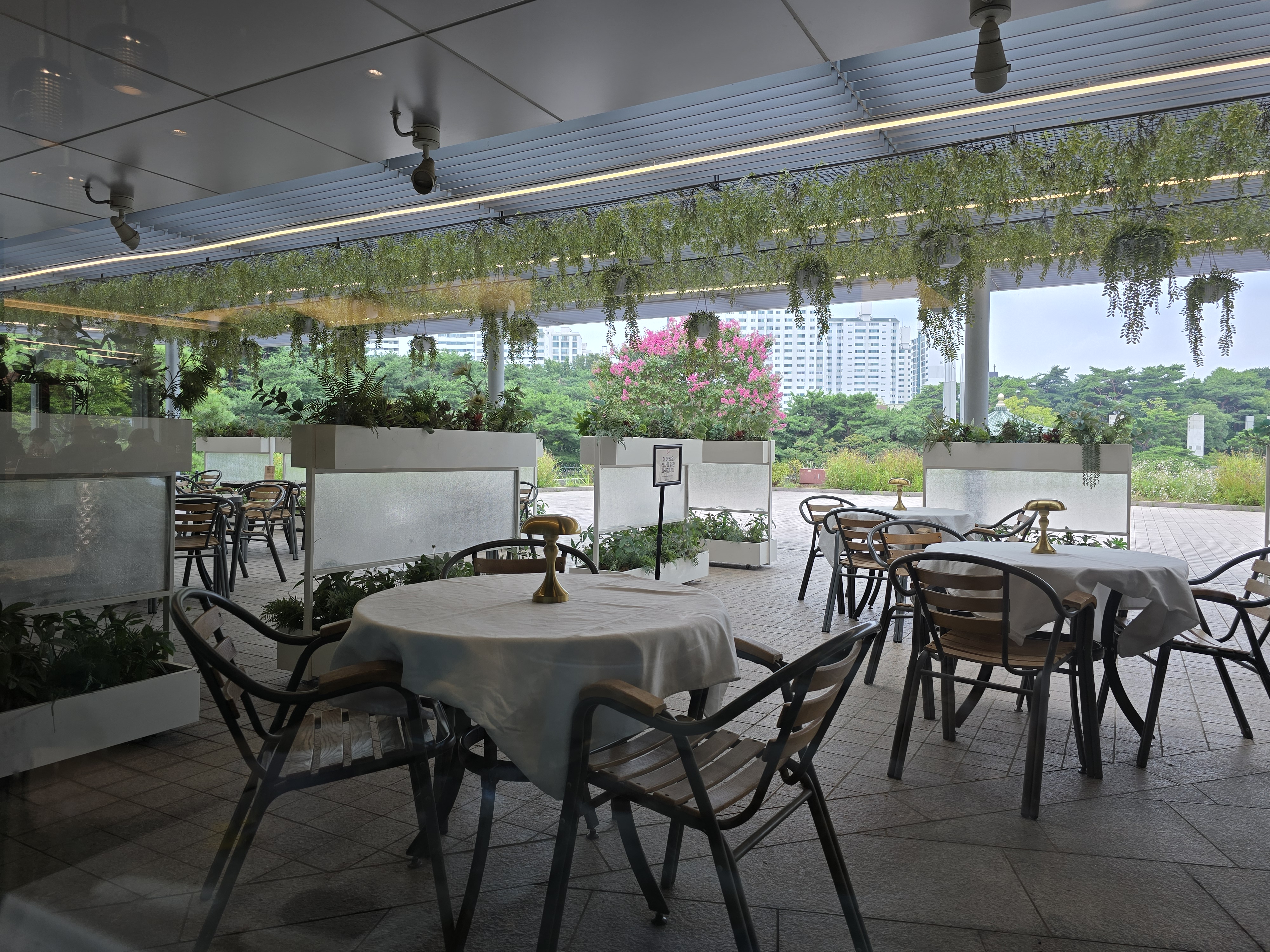 국립중앙박물관 겨울못 식당 테라스