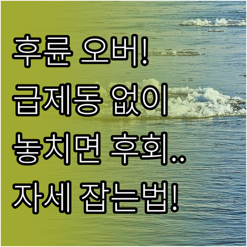 후륜 구동 차량 오버스티어 발생 시 ..