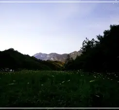 2025-무주반딧불축제-초대가수-일정-프로그램