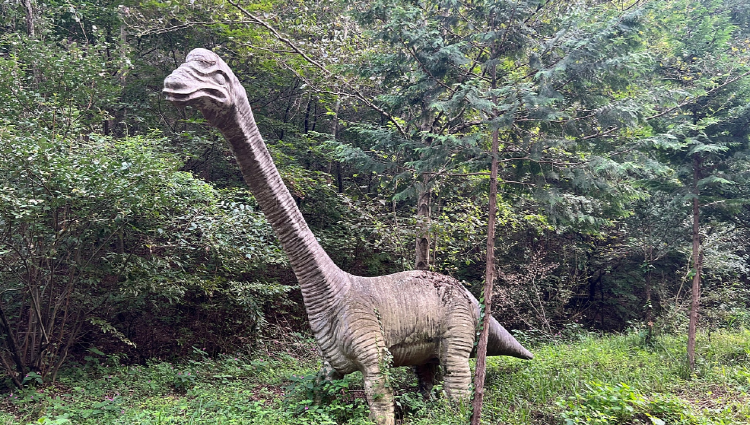 온빛자연휴양림