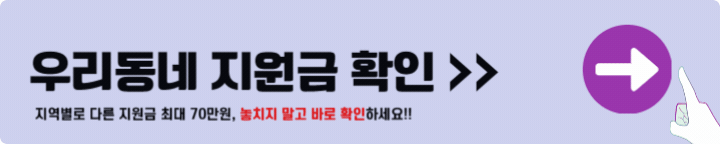 우리동네 지원금 확인