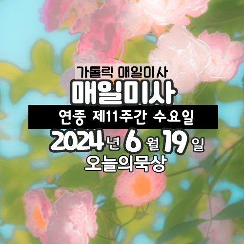 2024년 6월 19일 매일미사 연중 제11주간 수요일 오늘의 묵상