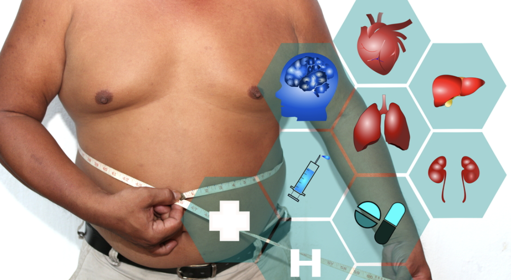 렙틴 호르몬 음식 약 그렐린 저항성 분비 영양제 수면시간 효능