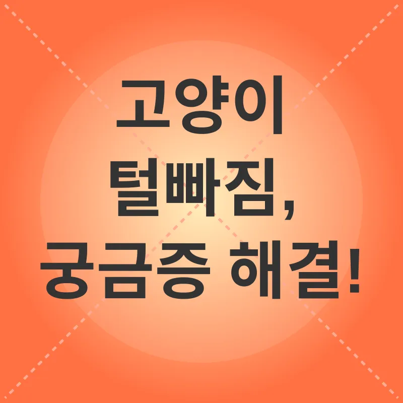 고양이 털빠짐 관리_4