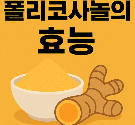폴리코사놀 효능