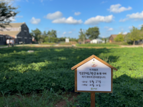 전북 고창 숙박 상하농원 파머스 빌리지 패밀리룸 조식