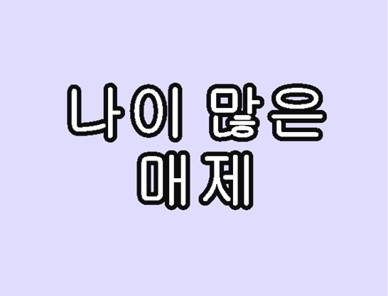 나이-많은-매제