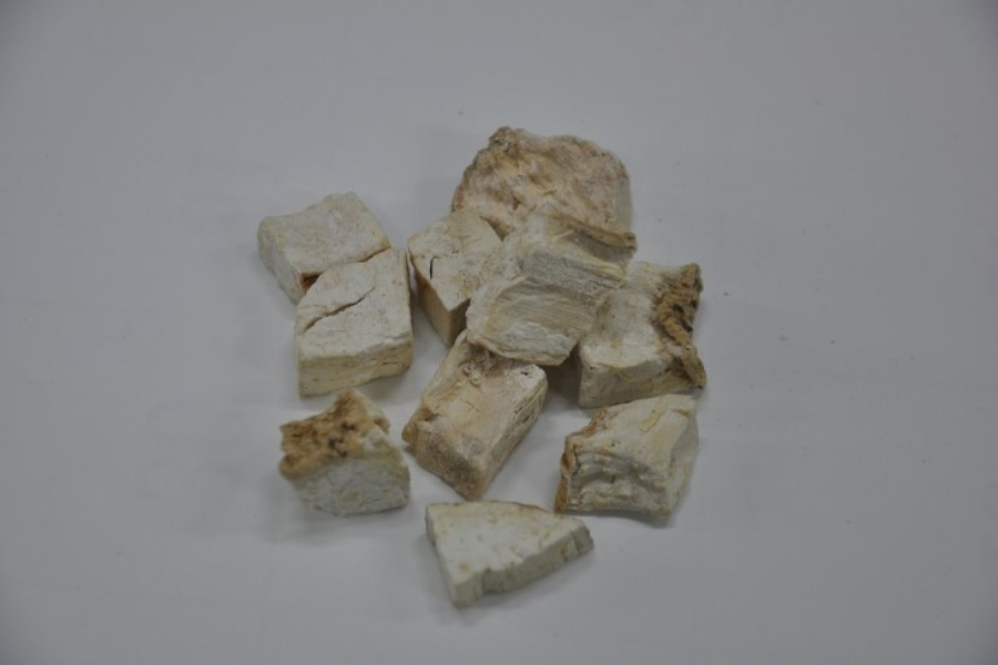 야생에서 채취를 하눌타리의 뿌리인 괄루근을 잘 세척하고 건조한 것을 깍뚝썰기로 잘라놓은 천화분을 하얀 바닥 위에 몇 개 놓아두고 찍은 사진