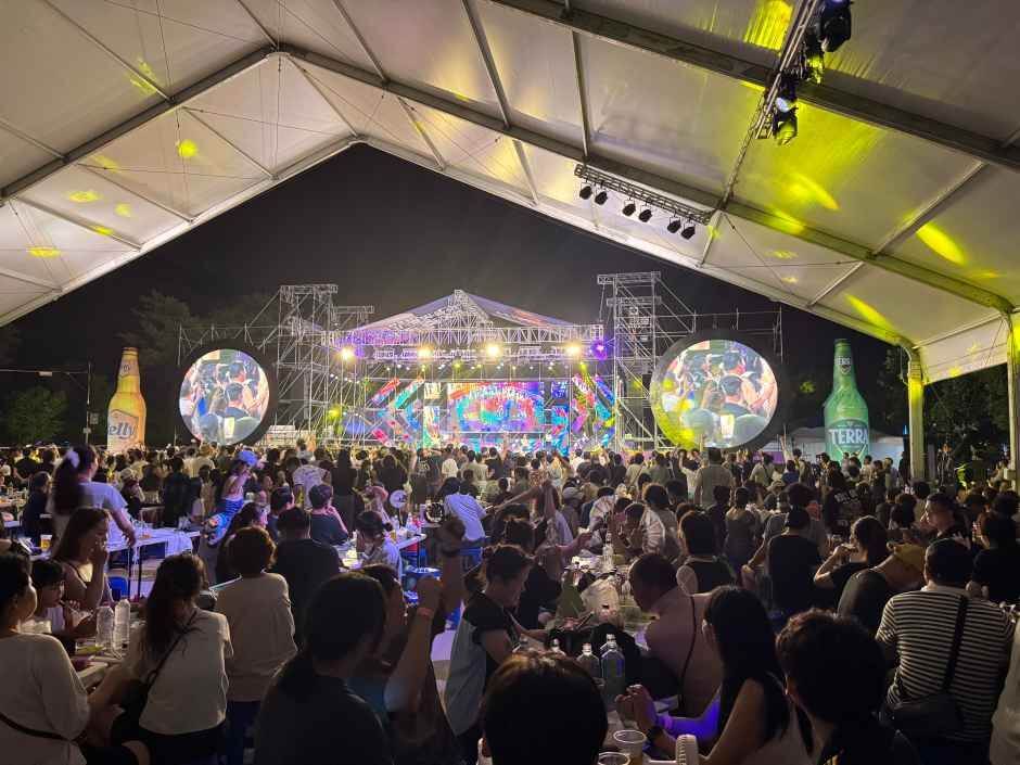 홍천강 별빛음악 맥주축제