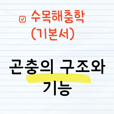 수목해충학 - 곤충의 구조와 기능(가슴)