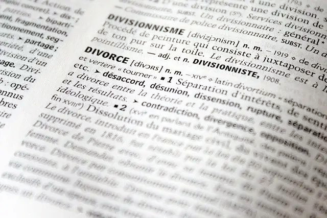 이혼 절차 ❘ 방법 서류 기간 사실혼 사유기재 정리