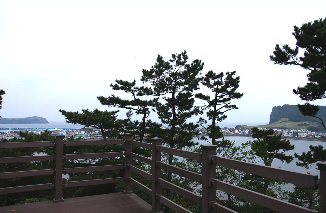 식산봉 전망대에서 바라본 풍경 사진.