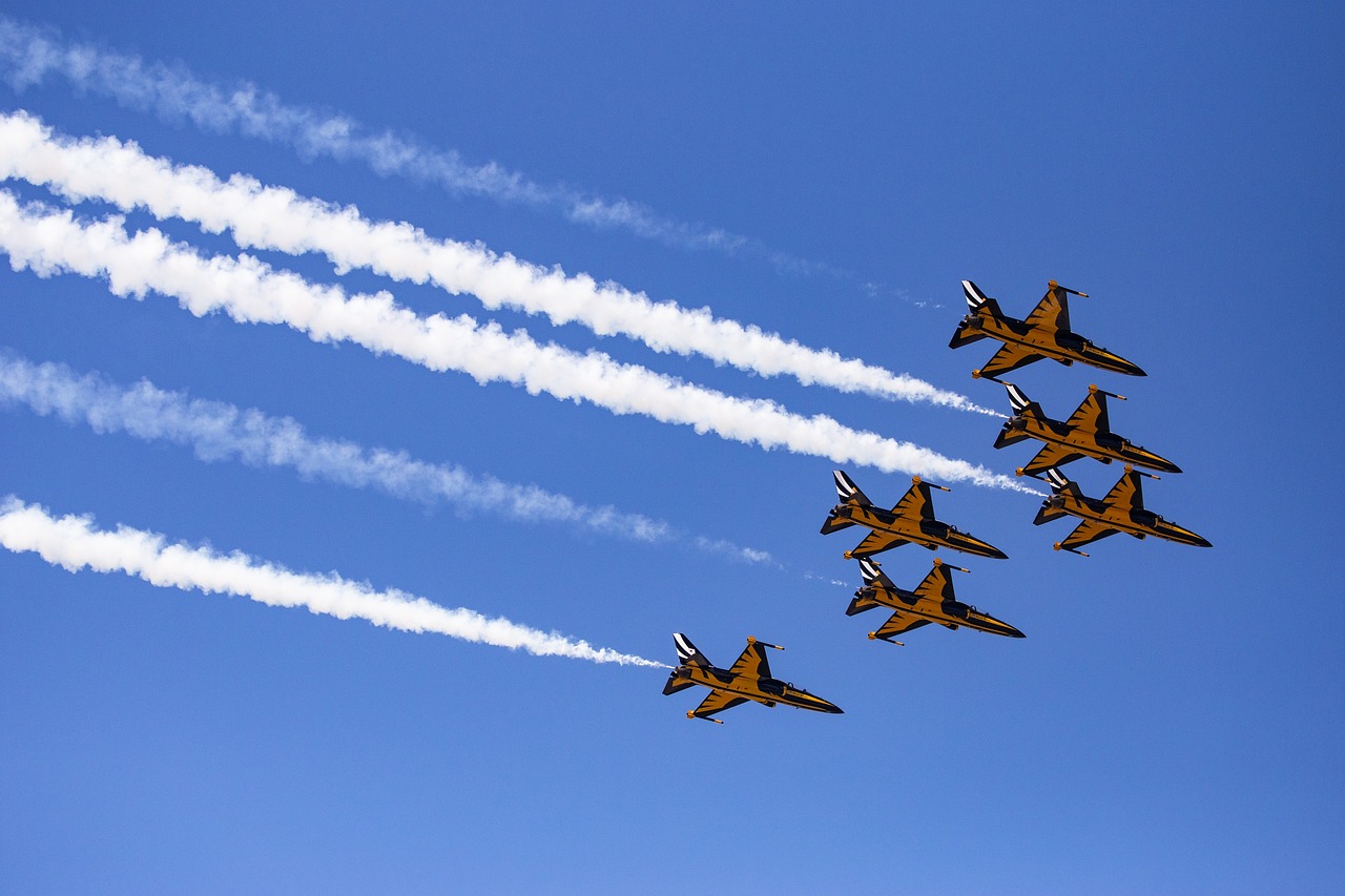 블랙이글스 공연 장면