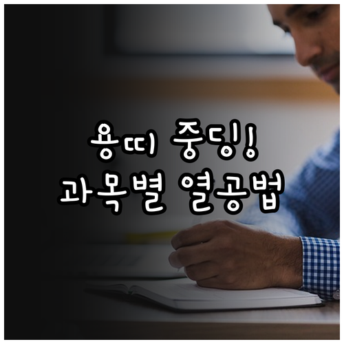 2026년 3월 용띠 중학생 학습 효..