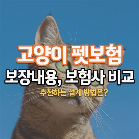 고양이 보험