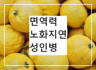 유자