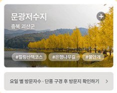 단풍여행지 추천