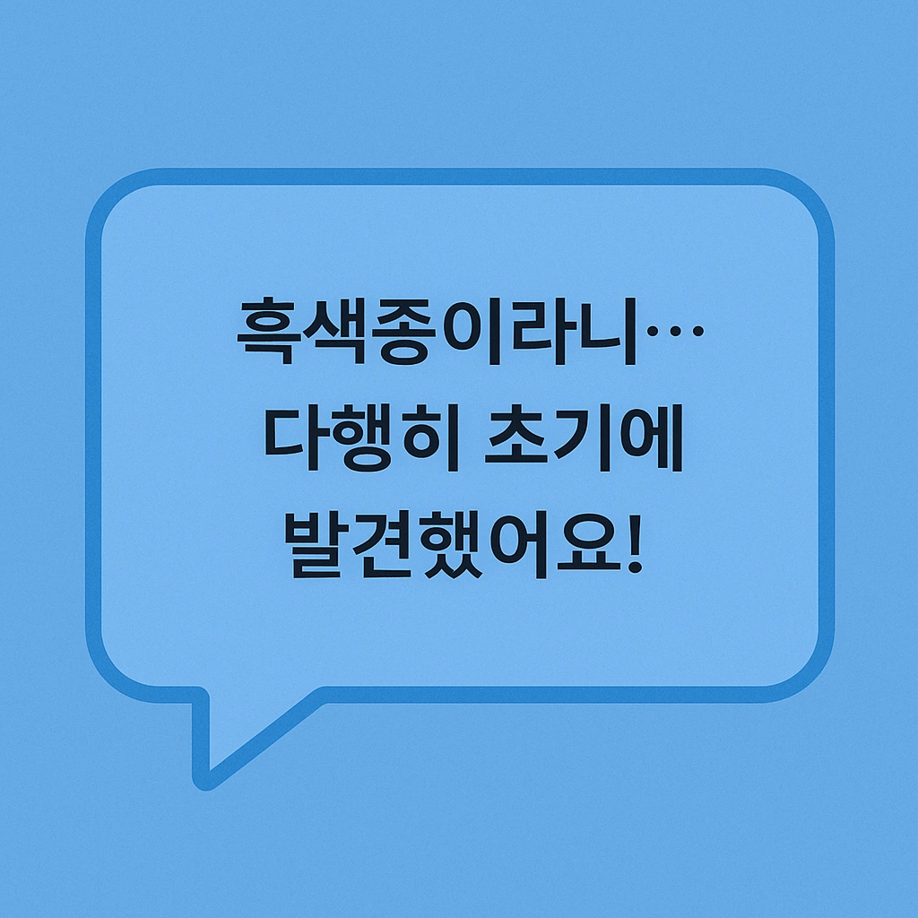 🗣️ 실제 사용자 후기