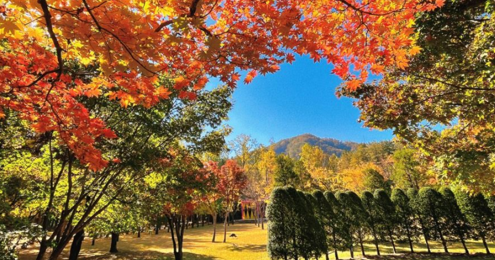 춘천 남이섬