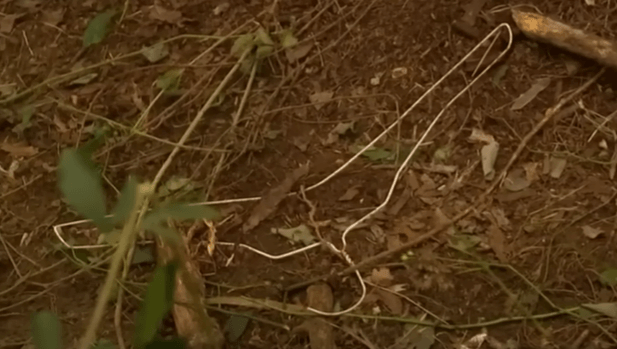 신림동 공원 폭행 사건 현장