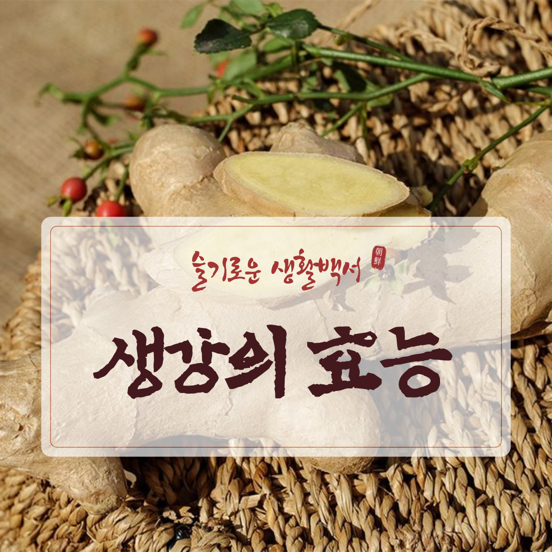 생강의 효능