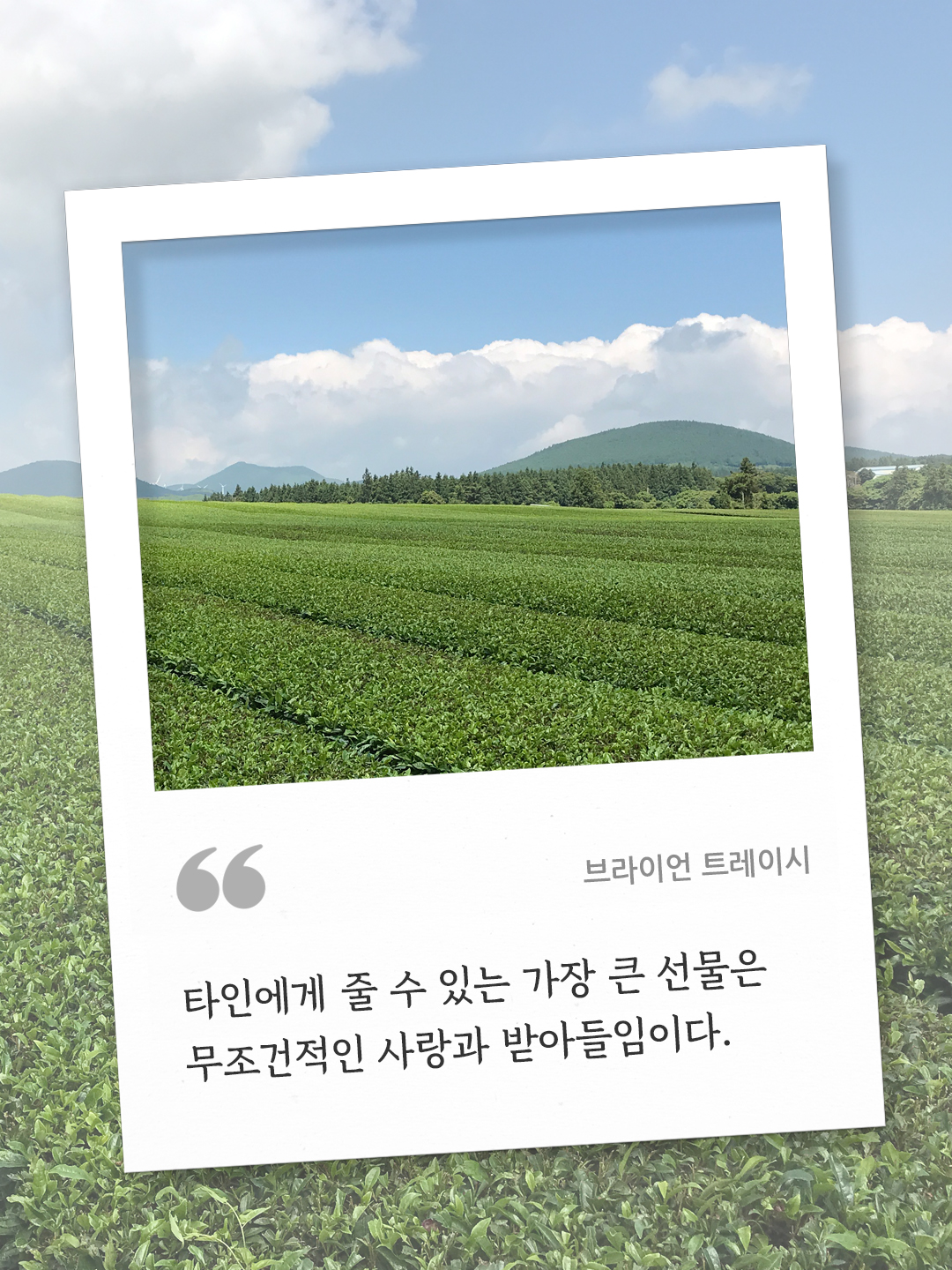 오늘의 명언 좋은 글귀 : 타인에게 줄 수 있는 가장 큰 선물은 무조건적인 사랑과 받아들임이다 (브라이언 트레이시).