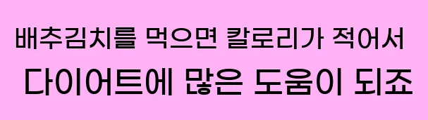  배추김치를 먹으면 칼로리가 적어서 다이어트에 많은 도움이 되죠