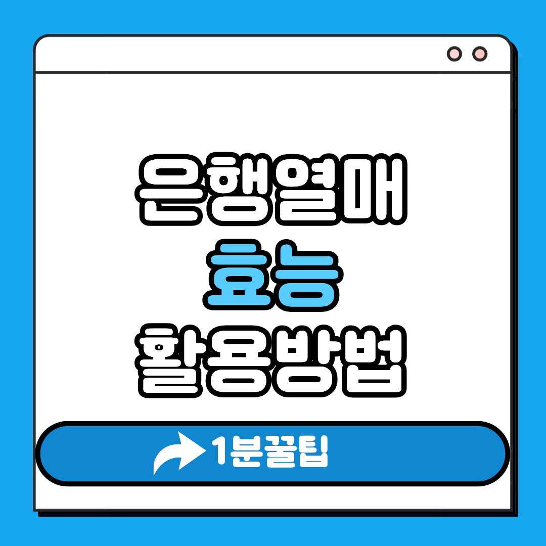 은행열매 효능