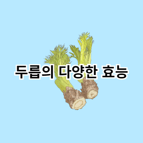 두릅의-다양한-효능