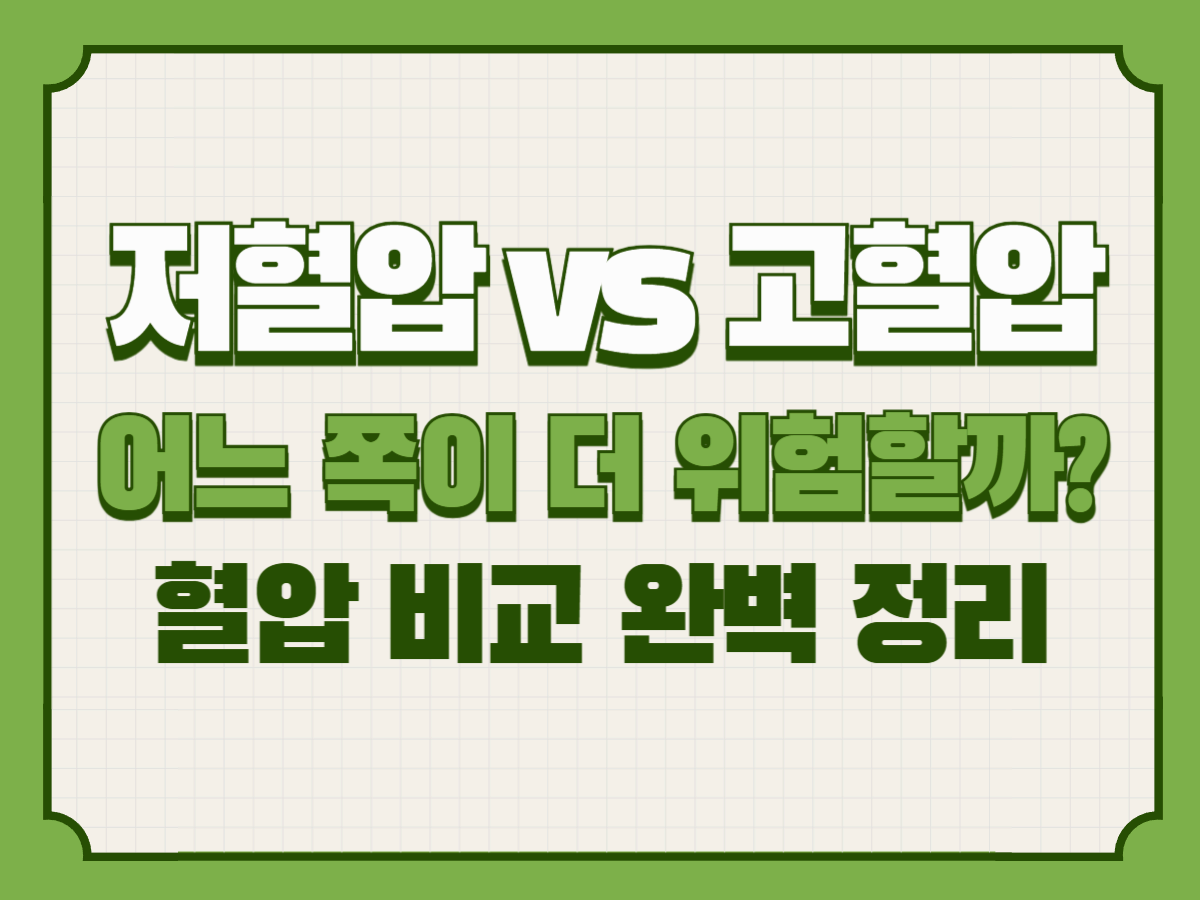 저혈압 vs 고혈압, 어느 쪽이 더 위험할까? 혈압 비교 완벽 정리