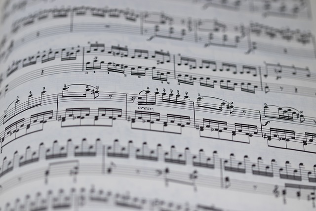 교향곡의 아버지 - 하이든