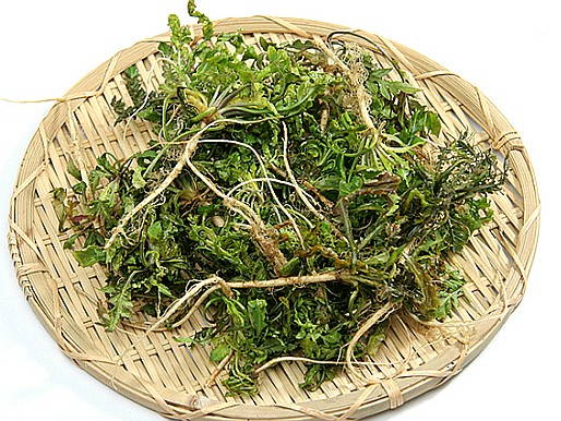 제철음식을 통한 건강 관리 - 계절음식 추천 TOP12