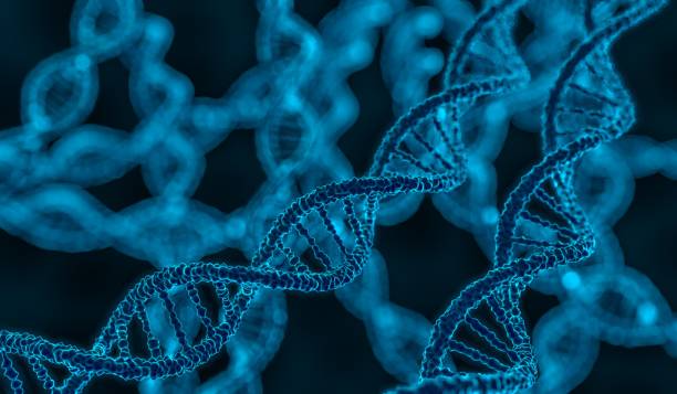 dna 분자나선