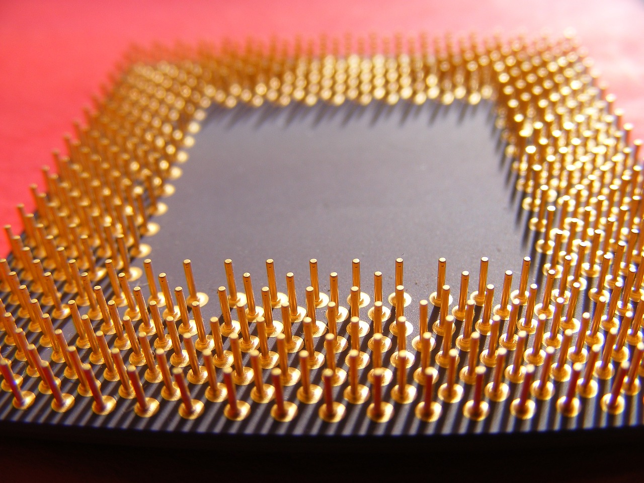 AMD 칩