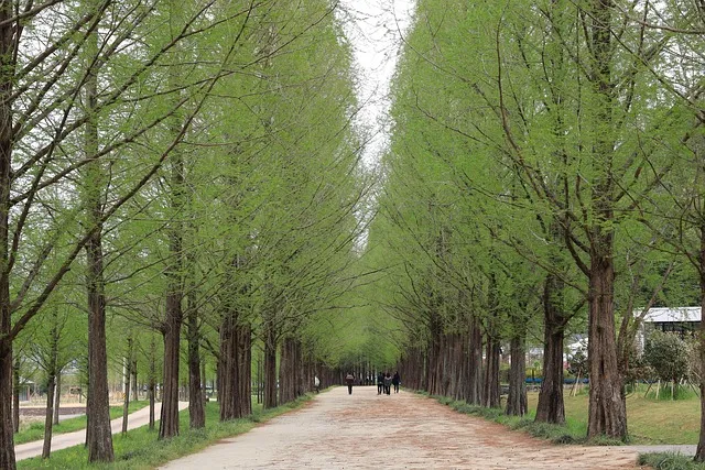 담양 맛집 베스트10 진짜 현지인만 아는곳_1