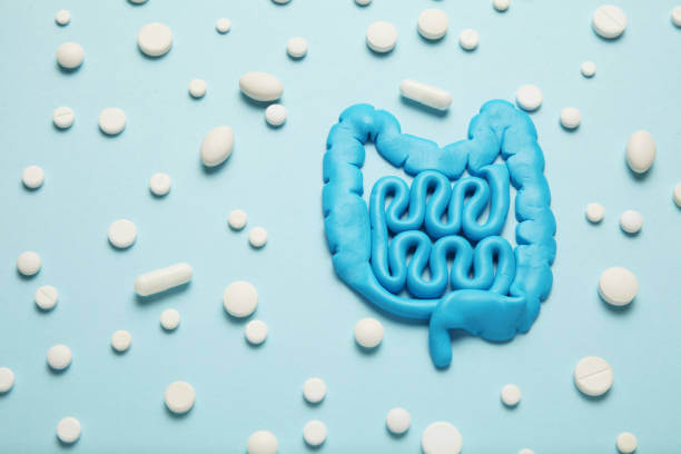 장 건강 영양제 Best 5! 장 건강에 진심인 당신을 위한 선택!