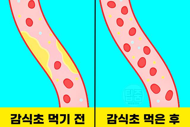 감식초 매일 먹으면 감식초효능 혈관청소 감식초먹는법
