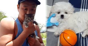 나혼자산다 구성환 강아지 꽃분이 드라이 추천템