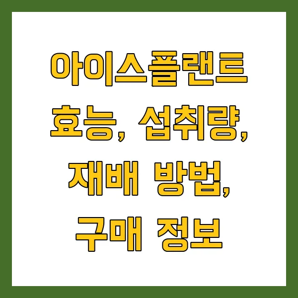 아이스플랜트 효능 효과, 주문 방법, 요리법 생방송 오늘아침