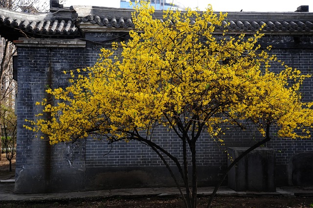 2026년 3월 기온 전망