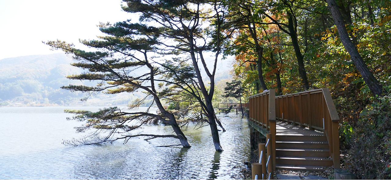 2025 증평인삼골축제&amp;#44;인삼 체험 축제