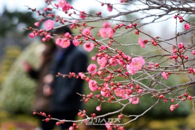 2020년 경자년 입춘