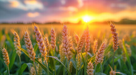 농지연금 신청방법 가입조건 수령액 계산